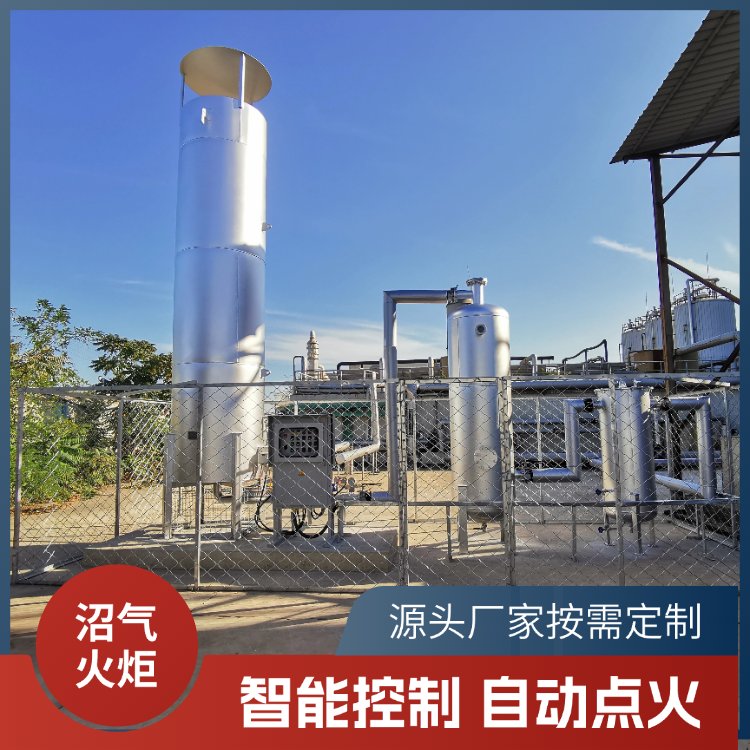 上海英环 火炬